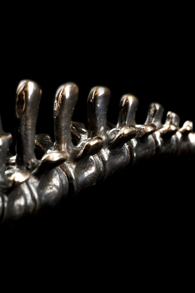 Maklaud Styx Hookah Fork