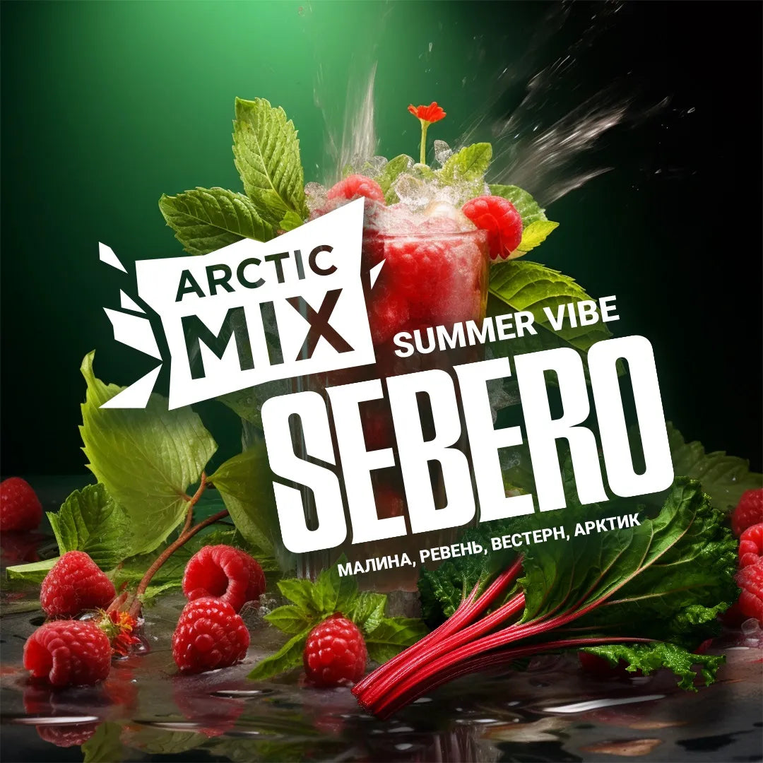 Arctic Mix Summer Vibe Sebero raspberry rhubarb drink with fresh raspberries and green leaves