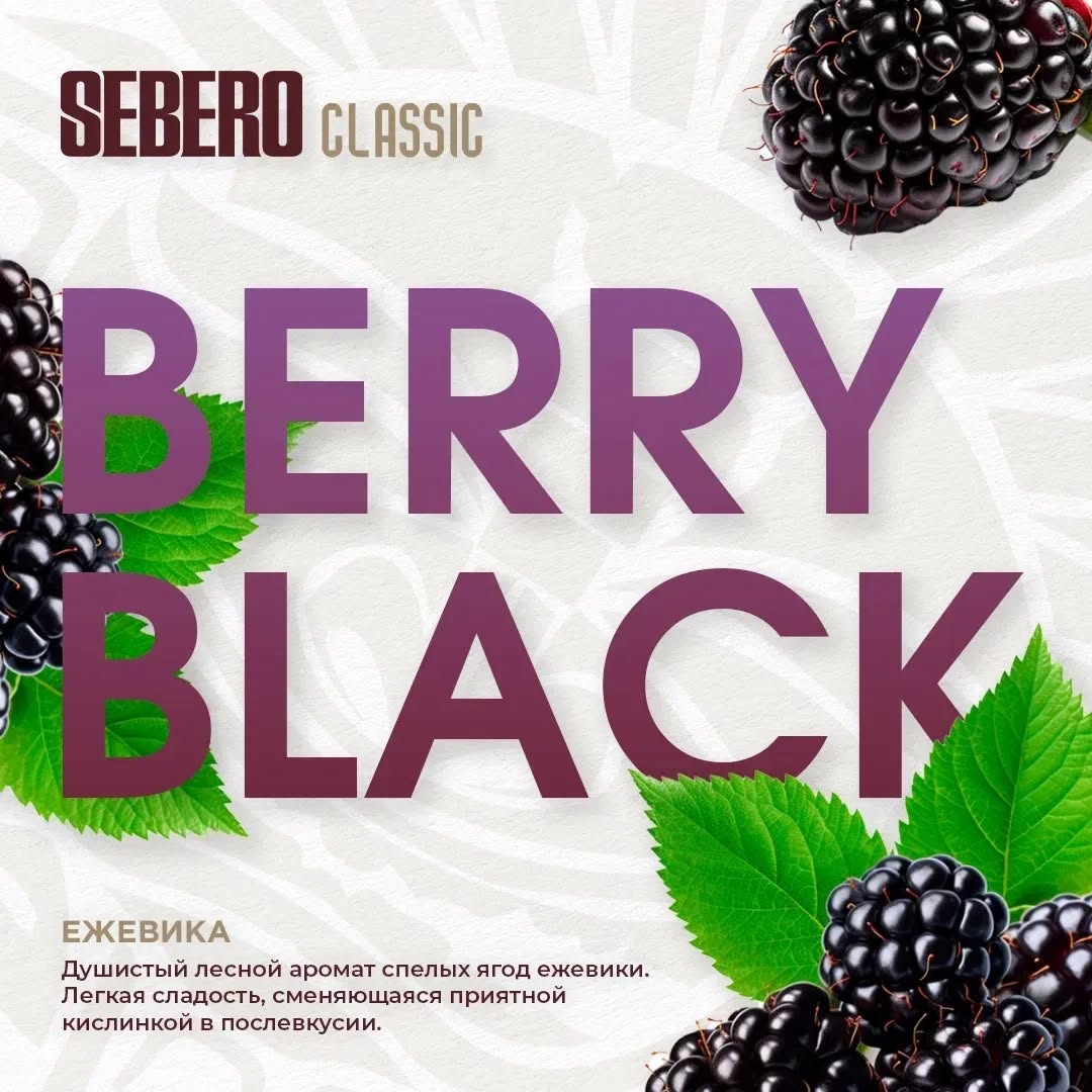 Sebero Classic Berry Black packaging featuring fresh blackberries and green leaves with berry flavor text