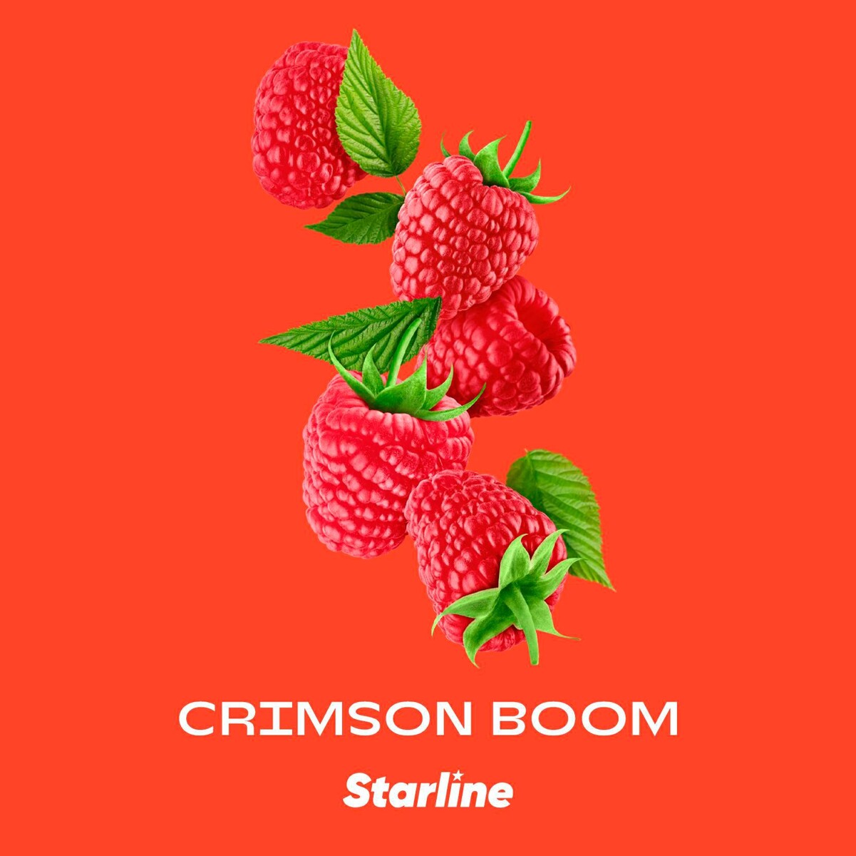 LE TABAC Crimson Boom Starline fresh red raspberries with green leaves on orange background